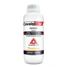 Cavaleiro - 1 Lt