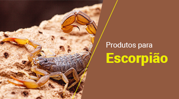 Escorpião