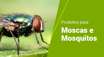 Moscas e Mosquitos